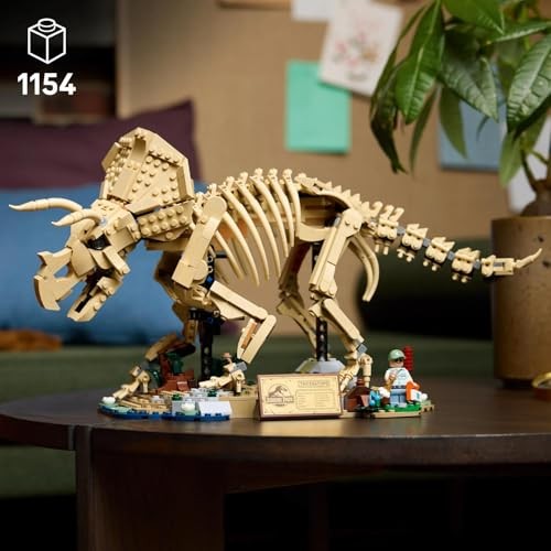 Dinosaur Fossils: Triceratops