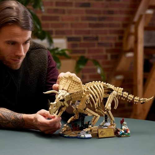 Dinosaur Fossils: Triceratops