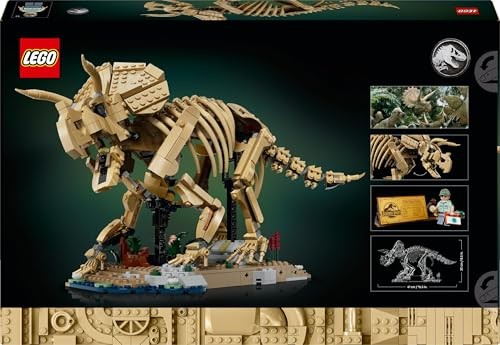 Dinosaur Fossils: Triceratops