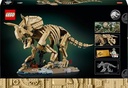 Dinosaur Fossils: Triceratops