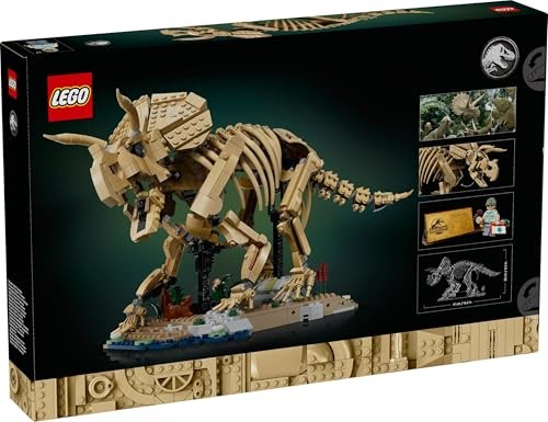 Dinosaur Fossils: Triceratops