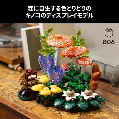 Woodland Mushrooms