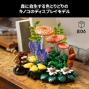 Woodland Mushrooms