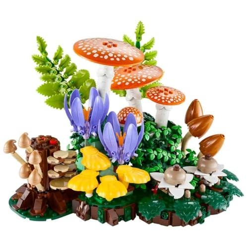 Woodland Mushrooms