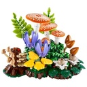 Woodland Mushrooms