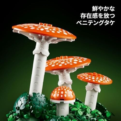 Woodland Mushrooms