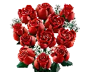 10328.webp