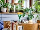 40747_alt3.webp