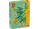 40747_alt2.webp