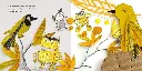 61aq7QSHftL._SL1020.webp