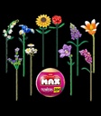 Zuru MAX Build More Premium Flowers Building Bricks Collection
