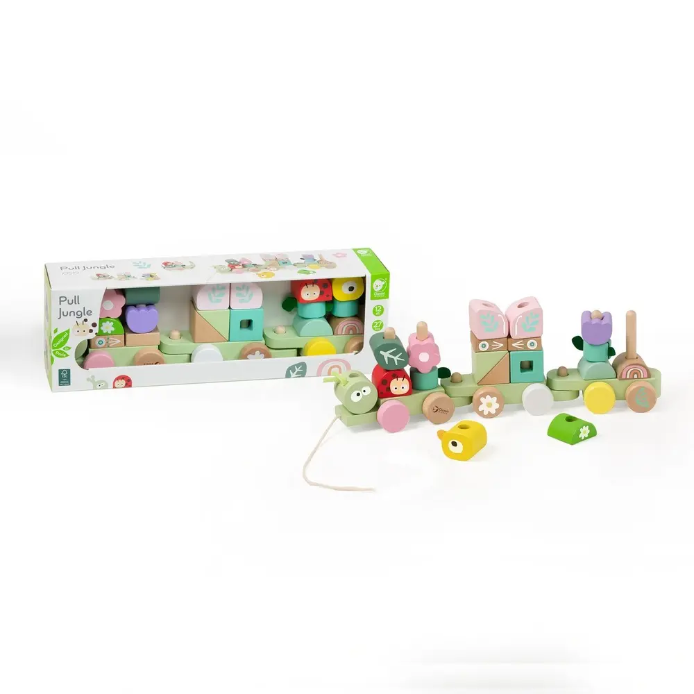 PULL TRAIN WITH BUILDING BLOCKS