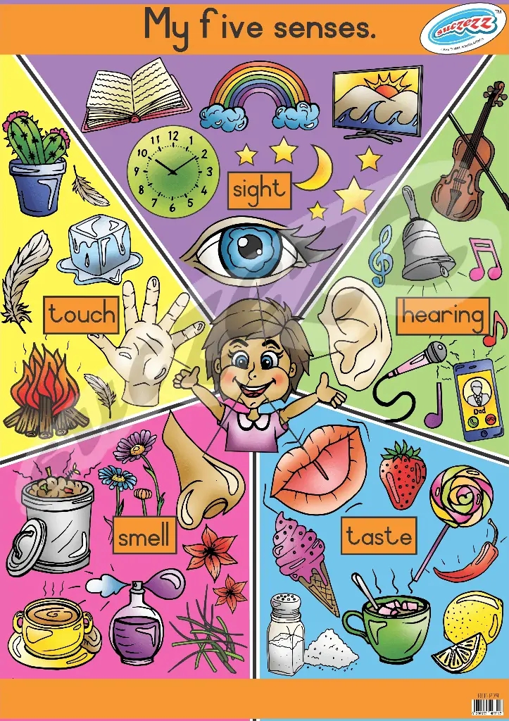 POSTER - MY 5 SENSES