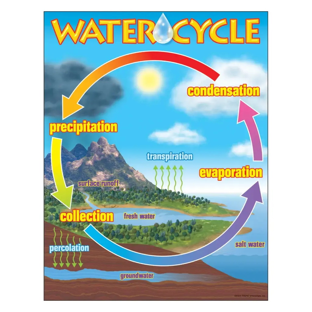 LEARNING CHART: WATER CYCLE