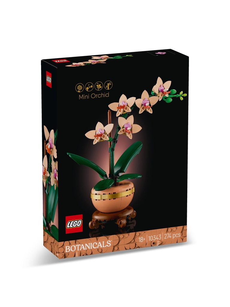 Mini Orchid