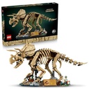 Dinosaur Fossils: Triceratops