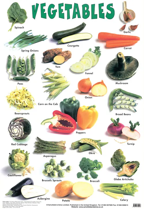 POSTER - VEGETABLES