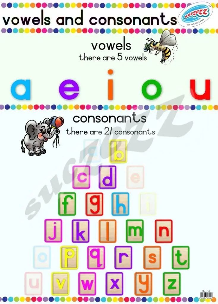 POSTER - VOWELS & CONSONANTS