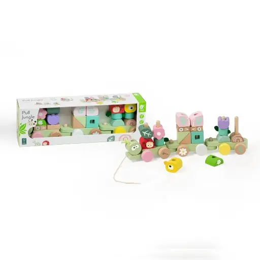 [GRE/CW10519] PULL TRAIN WITH BUILDING BLOCKS