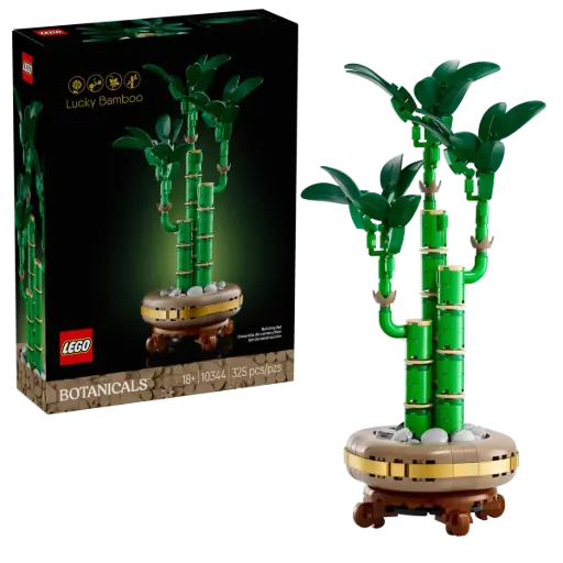 [LEG/10344] Lucky Bamboo