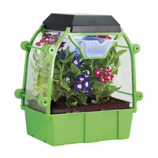 [GRE/SCI-BL161] Edu-Toys - My First D.I.Y - LED Greenhouse - 1 section