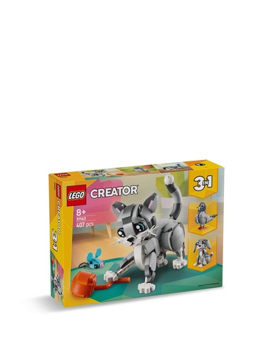 [LEG/31163] Playful Cat