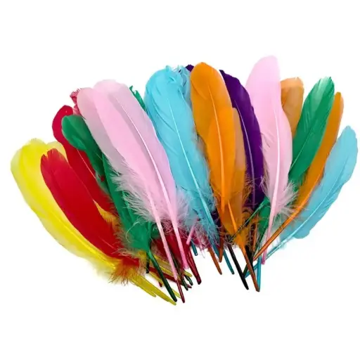 [GRE/RE/629/CGF] Anthony Peters - Giant Feathers - 20 cm - 15g