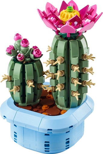 [LEG/11509] Flowering Cactus
