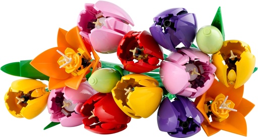 [11501] Tulip Bouquet