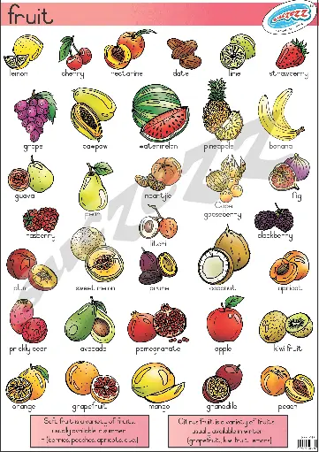 [SUC/SZ0083] POSTER - FRUITS