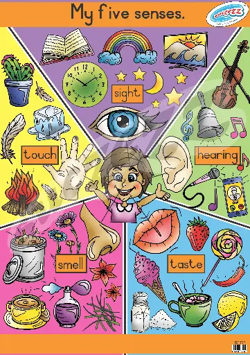 [SUC/SZ0079] POSTER - MY 5 SENSES