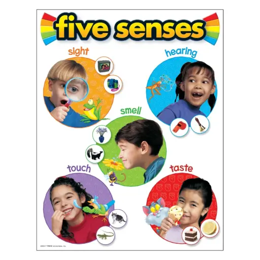 [TRE/T38051] LEARNING CHART: FIVE SENSES