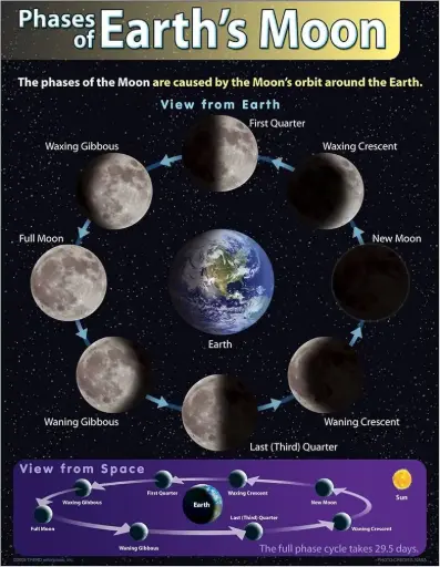 [TRE/T38292] LEARNING CHART: PHASES OF EARTH'S MOON